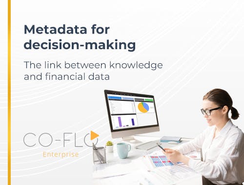 Metadata for decision-making: the link between knowledge and financial data